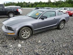 Ford Vehiculos salvage en venta: 2006 Ford Mustang