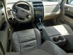 2010 Ford Escape Limited