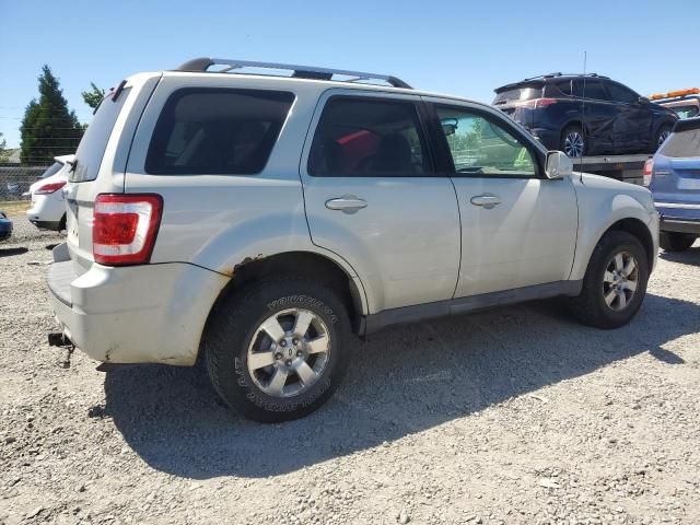 2009 Ford Escape Limited