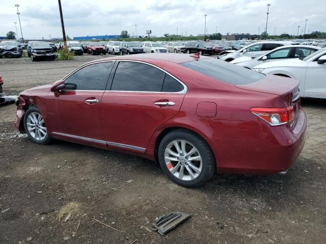 2010 Lexus ES 350