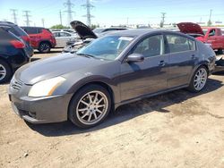 Salvage cars for sale at Elgin, IL auction: 2008 Nissan Maxima SE