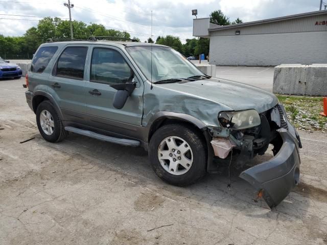 2006 Ford Escape XLT