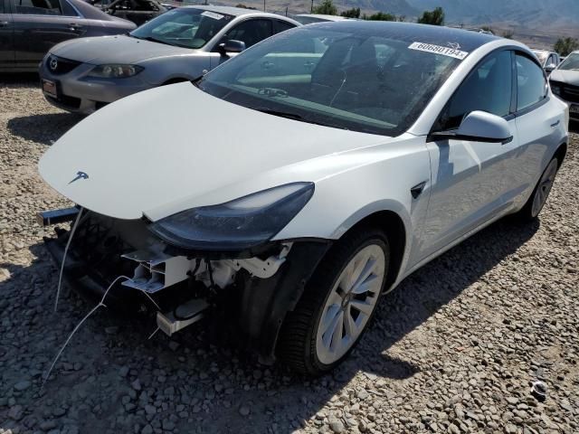 2023 Tesla Model 3