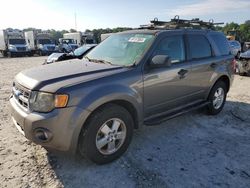 Flood-damaged cars for sale at auction: 2009 Ford Escape XLT