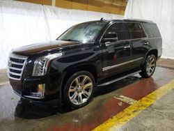 Vehiculos salvage en venta de Copart Marlboro, NY: 2016 Cadillac Escalade Luxury