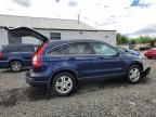 2011 Honda CR-V EXL