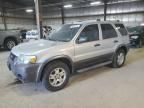 2006 Ford Escape XLT