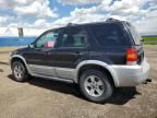 2007 Ford Escape XLT