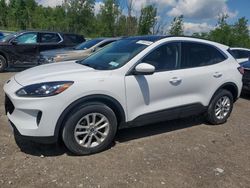 Salvage cars for sale at Leroy, NY auction: 2020 Ford Escape SE