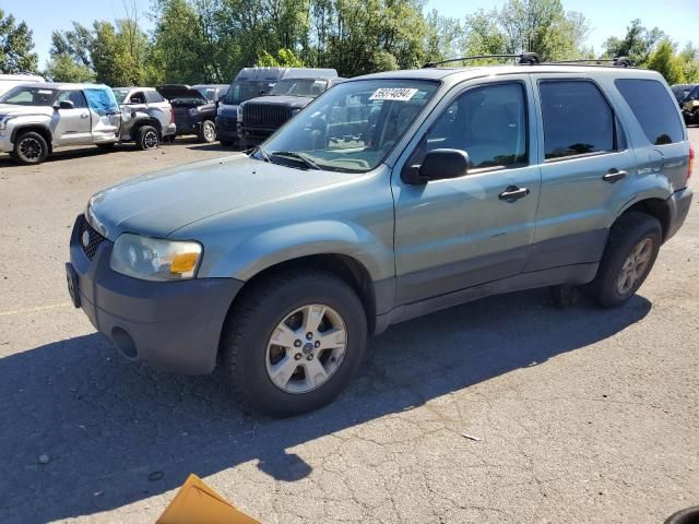 2006 Ford Escape XLT