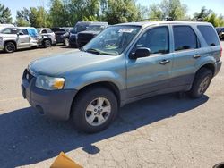 Ford salvage cars for sale: 2006 Ford Escape XLT