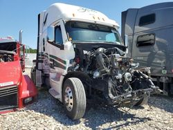 Salvage trucks for sale at Florence, MS auction: 2024 Freightliner Cascadia 126