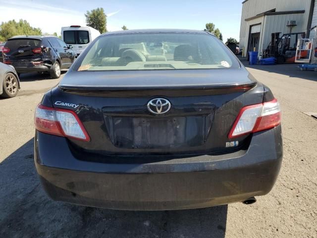 2009 Toyota Camry Hybrid