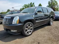 Cadillac salvage cars for sale: 2008 Cadillac Escalade ESV