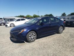 Toyota Corolla salvage cars for sale: 2020 Toyota Corolla LE