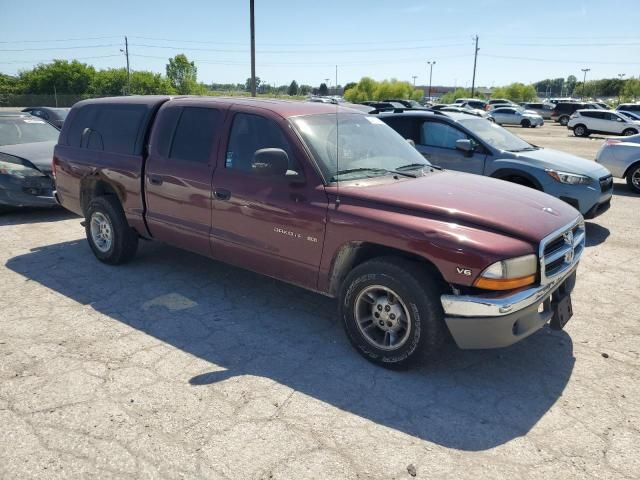 2000 Dodge Dakota Quattro