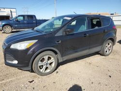 Ford salvage cars for sale: 2013 Ford Escape SE