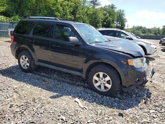 2011 Ford Escape Limited