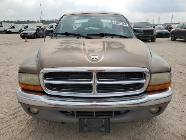 2000 Dodge Dakota Quattro