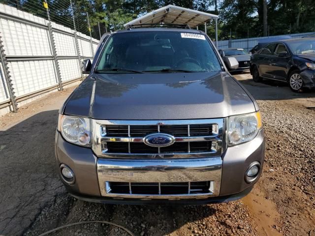 2011 Ford Escape Limited