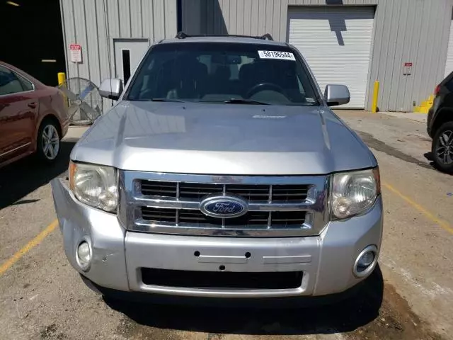 2011 Ford Escape Limited