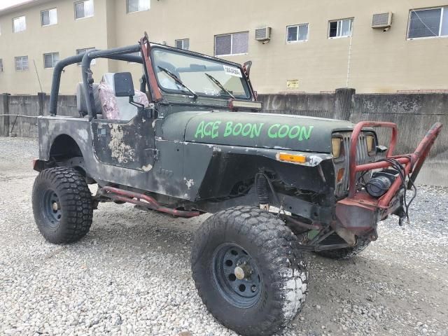 1993 Jeep Wrangler / YJ