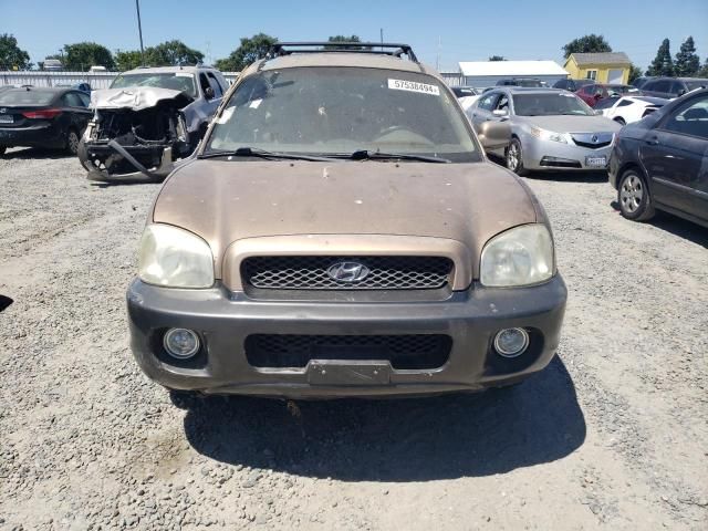 2002 Hyundai Santa FE GLS