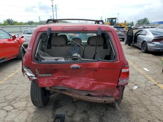 2008 Ford Escape XLT