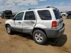 2007 Ford Escape XLT