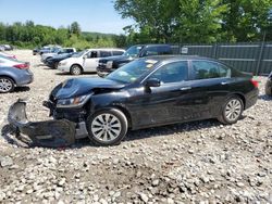 Salvage cars for sale at Candia, NH auction: 2013 Honda Accord EX