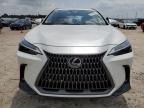 2024 Lexus NX 350H Base