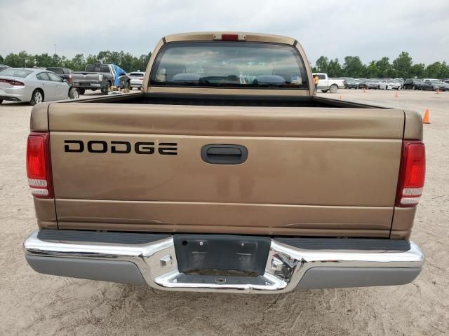 2000 Dodge Dakota Quattro