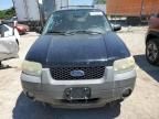 2005 Ford Escape XLT