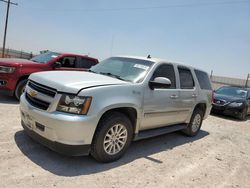 Salvage cars for sale at Andrews, TX auction: 2009 Chevrolet Tahoe Hybrid