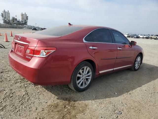 2010 Lexus ES 350