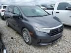 2021 Honda Odyssey LX