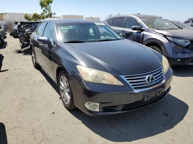 2010 Lexus ES 350