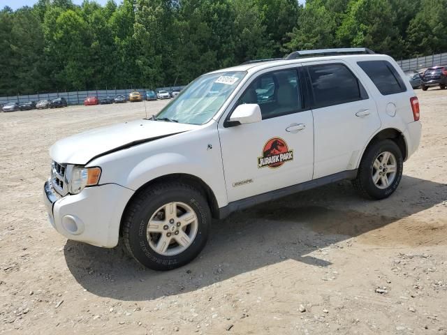 2008 Ford Escape HEV