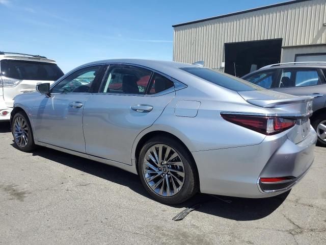 2024 Lexus ES 300H Base