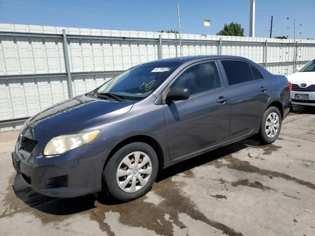 2009 Toyota Corolla Base