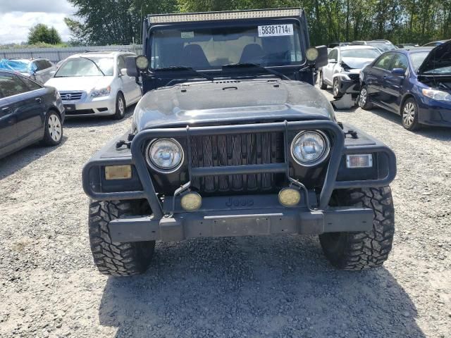 2001 Jeep Wrangler / TJ SE