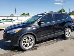 Salvage Cars with No Bids Yet For Sale at auction: 2014 Ford Escape Titanium