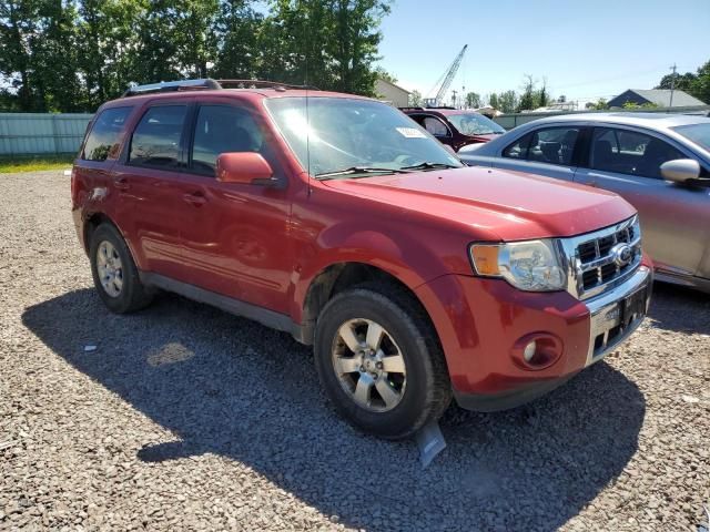 2010 Ford Escape Limited