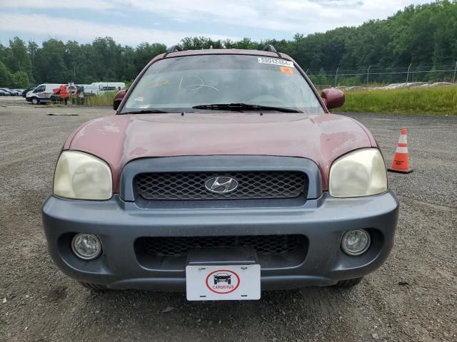 2004 Hyundai Santa FE GLS