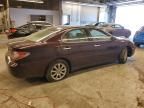 2004 Lexus ES 330