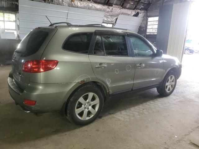 2009 Hyundai Santa FE SE