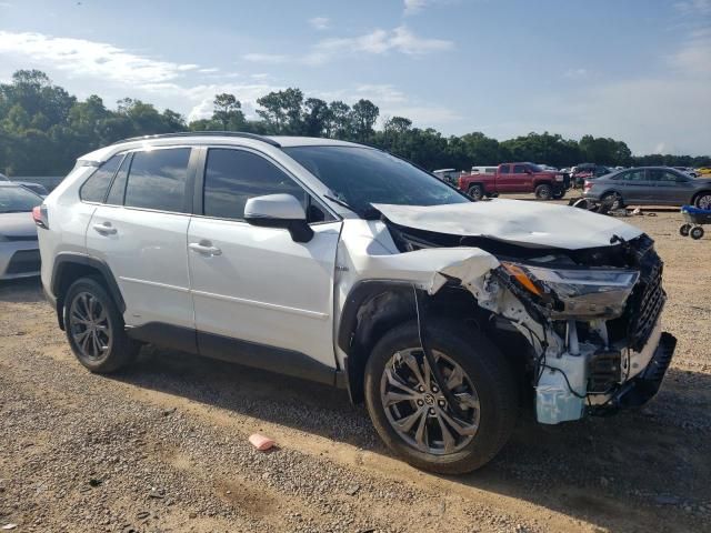 2023 Toyota Rav4 XLE Premium