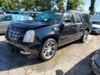 2013 Cadillac Escalade ESV Premium