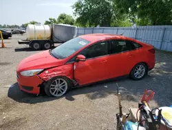 Ford salvage cars for sale: 2015 Ford Focus SE