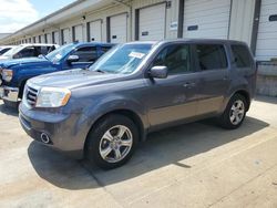 Salvage cars for sale at Louisville, KY auction: 2014 Honda Pilot EXL